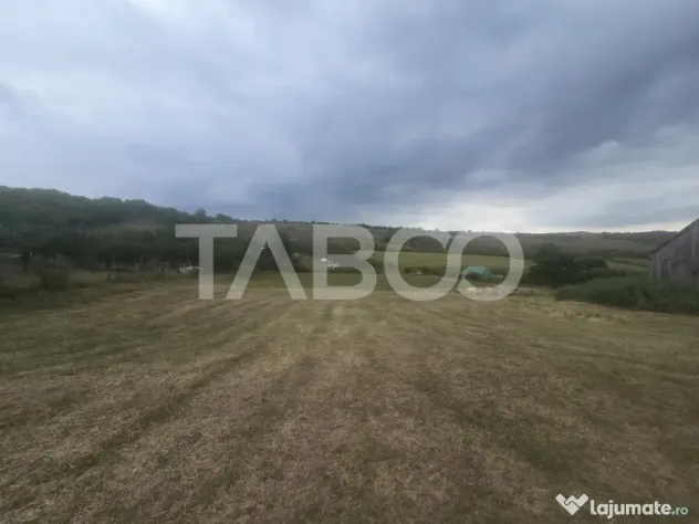 Teren de vanzare 8700 mp cu un front de 30m in Sura Mare - Sura Mare (Sibiu)