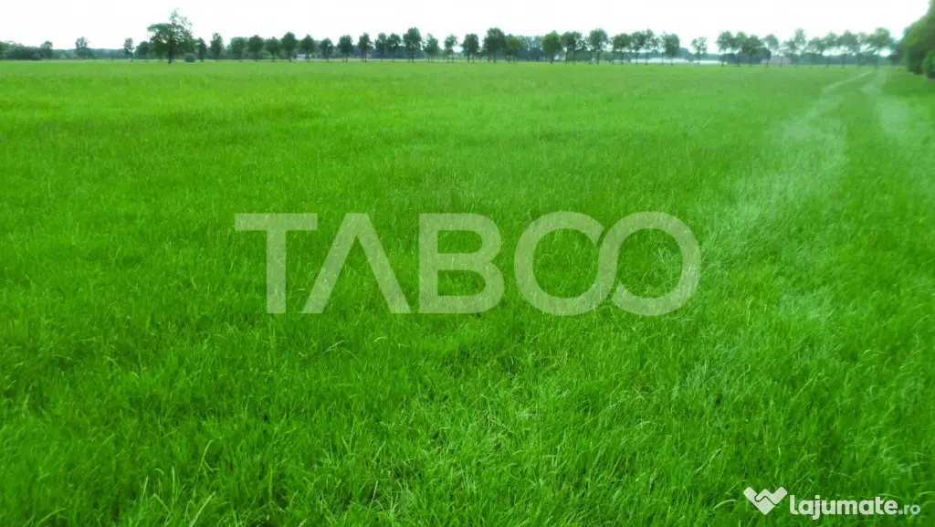 Teren intravilan deschidere 35 ml 7000mp in zona Industrial - Sibiu (Sibiu)