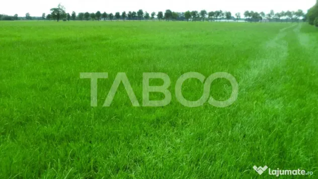 Teren intravilan deschidere 35 ml 7000mp in zona Industrial - Sibiu (Sibiu)