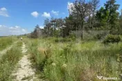 Oportunitate investitie teren (padure) 10.000mp zona Drumul 