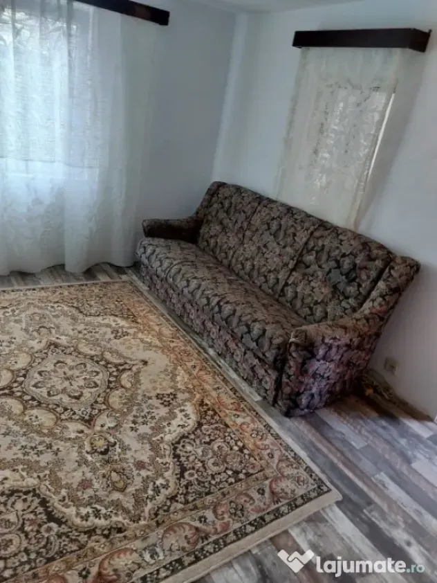 Casa 65 mp, 500 mp curte, 11,30 mp deschidere, Malu Mare - Malu Mare (Dolj)