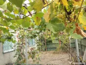 Casa 65 mp, 500 mp curte, 11,30 mp deschidere, Malu Mare 