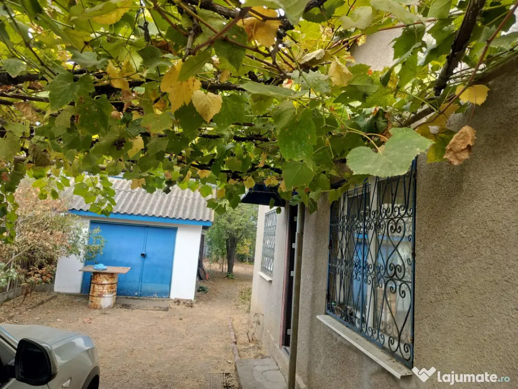 Casa 65 mp, 500 mp curte, 11,30 mp deschidere, Malu Mare - Malu Mare (Dolj)