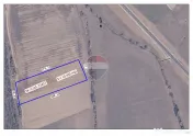 Teren intravilan 10.455 mp, în Cihei– Sânmartin, deschidere la pădure 