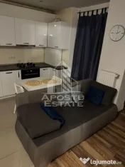 Apartament cu 1.5 camere de vanzare, zona Aradului, Timisoara 