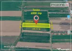 6000 mp, Caciulati - Balotesti, ideal pentru a dezvolta un ansamblu rezidential