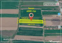 6000 mp, Caciulati - Balotesti, ideal pentru a dezvolta un ansamblu rezidential
