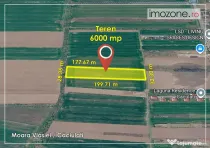 6000 mp, Caciulati - Balotesti, ideal pentru a dezvolta un ansamblu rezidential