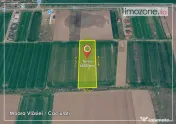 6000 mp, Caciulati - Balotesti, ideal pentru a dezvolta un ansamblu rezidential