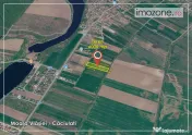 6000 mp, Caciulati - Balotesti, ideal pentru a dezvolta un ansamblu rezidential