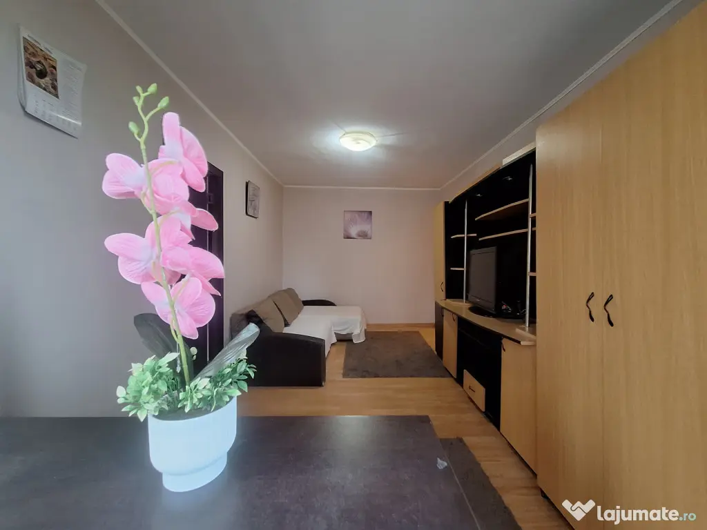 Apartament 2 camere - mobilat si utilat - ideal pentru inves - Timisoara (Timis)
