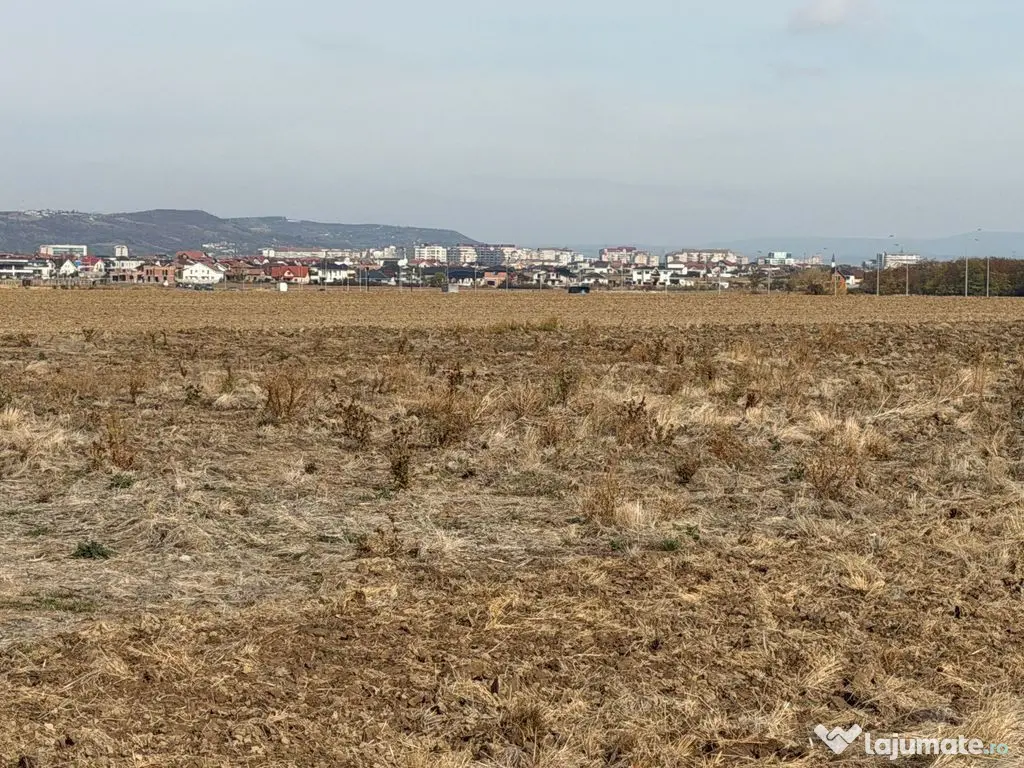 Parcele de teren Grigorescu - Oradea (Bihor)