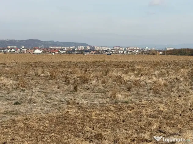 Parcele de teren Grigorescu - Oradea (Bihor)