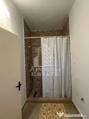 Casa individuala de vanzare Bd Dambovita Timisoara