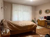 Casa individuala de vanzare Bd Dambovita Timisoara