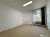 Casa individuala cu acces auto de vanzare zona Lunei Timisoara 