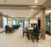 Casa individuala de vanzare si restaurant funcioanal, Sag, COMISION 0 
