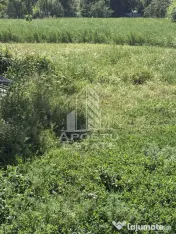 Casă veche în Bazos cu teren 1439 mp 