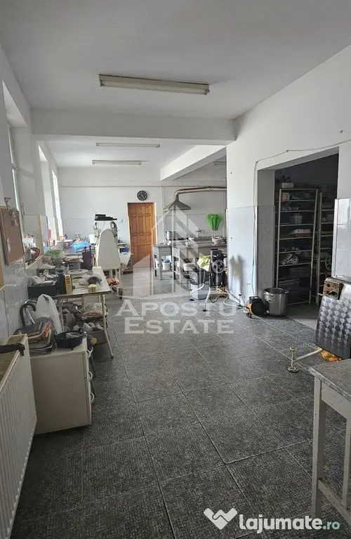 Casa vanzare I pozitie centrala I zona Cetatii I Timisoara - Timisoara (Timis)