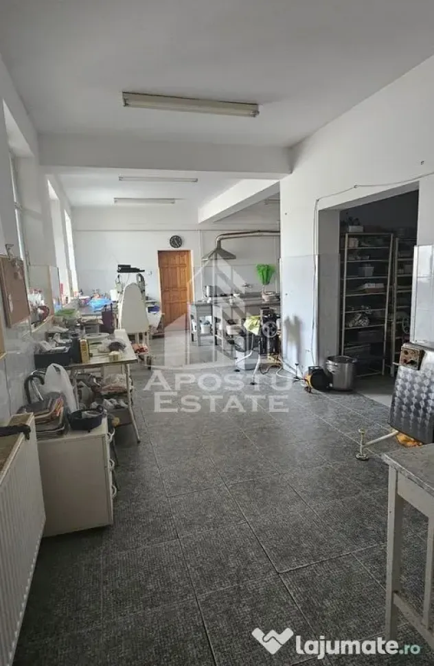 Casa vanzare I pozitie centrala I zona Cetatii I Timisoara - Timisoara (Timis)