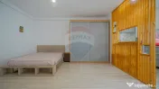 Garsoniera de inchiriat, Subcetate Residence
