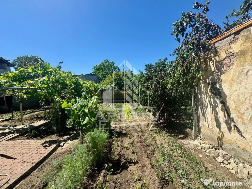 Casa de vaznzare 4 camere, 115 mp utili, Gradiste - Arad (Arad)