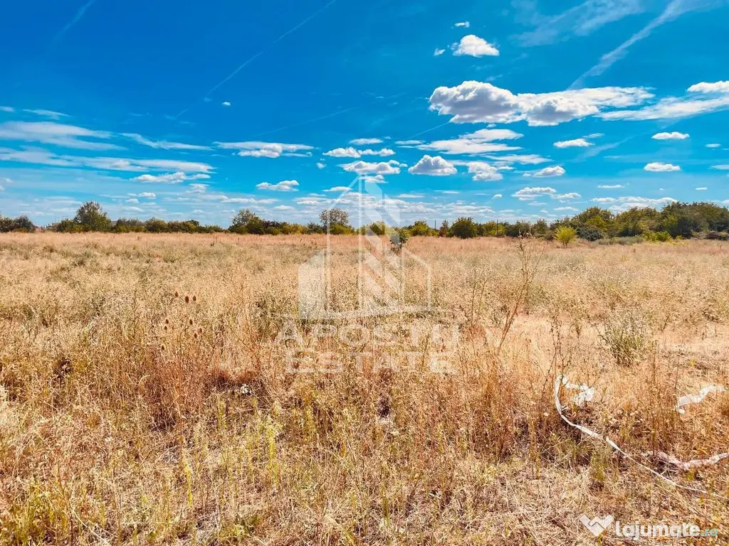 Teren Intravilan Zona Bujac Cartier nou spre Cadas - Arad (Arad)