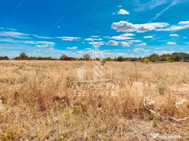 Teren Intravilan Zona Bujac Cartier nou spre Cadas - Arad (Arad)