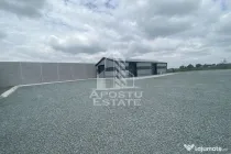 Hala de închiriat – Sacalaz, curte generoasă, show-room, service auto