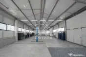 Hala de închiriat – Sacalaz, curte generoasă, show-room, service auto