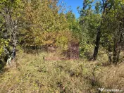 Teren extravilan de 10.452 mp de vanzare in Lunca Mare 