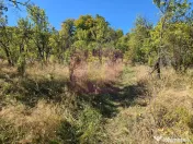 Teren extravilan de 10.452 mp de vanzare in Lunca Mare 