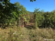 Teren extravilan de 10.452 mp de vanzare in Lunca Mare 