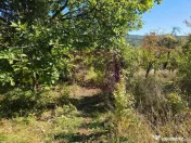 Teren extravilan de 10.452 mp de vanzare in Lunca Mare 