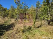 Teren extravilan de 10.452 mp de vanzare in Lunca Mare 