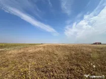 Teren intravilan, 733mp, posibilitate investitie- Sanandrei