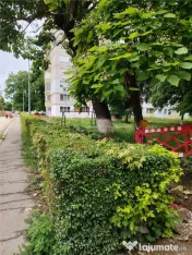 Teren central Hunedoara 