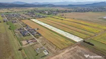 Teren Intravilan Bod | 15.000 mp | Zona Uranus - Constelației
