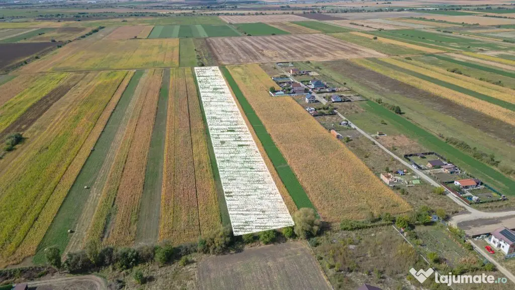 Teren Intravilan Bod | 15.000 mp | Zona Uranus - Constelației - Bod (Brasov)