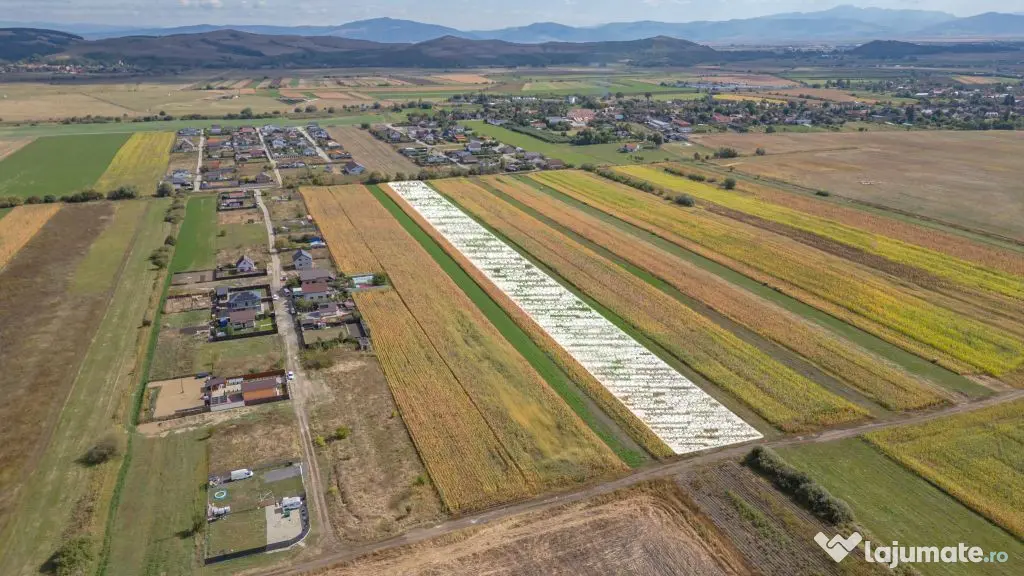 Teren Intravilan Bod | 15.000 mp | Zona Uranus - Constelației - Bod (Brasov)