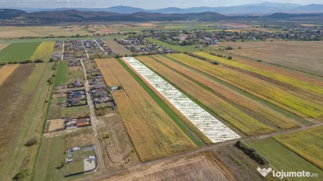 Teren Intravilan Bod | 15.000 mp | Zona Uranus - Constelației - Bod (Brasov)
