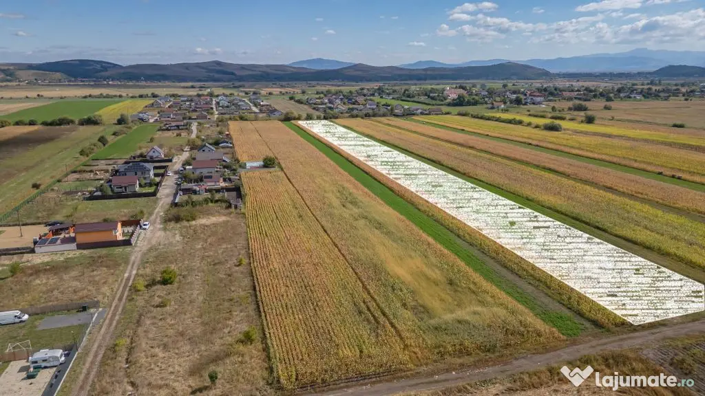 Teren Intravilan Bod | 15.000 mp | Zona Uranus - Constelației - Bod (Brasov)