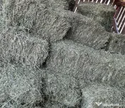 Baloți de Vinzare 