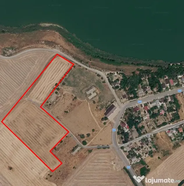 Vând teren extravilan 2,5 ha la malul lacului Mostiștea, Frăsinet (CL)