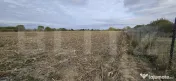 Teren extravilan, 3600 mp de vanzare – zona Amati 