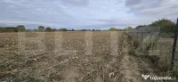 Teren extravilan, 3600 mp de vanzare – zona Amati 