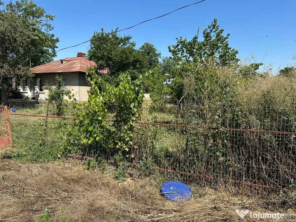 Vand casa batraneasca cu utilitati pe teren de 1200mp Andrasesti - Andrasesti (Ialomita)