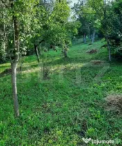 ???? CASĂ DE VÂNZARE ÎN NICULA, judetul Cluj 