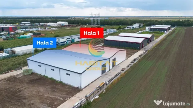 Hale 550 mp în Frumușani | Vânzare sau închiriere | 2 unități - Frumusani (Calarasi)