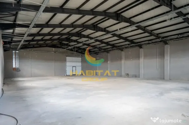 Hale 550 mp în Frumușani | Vânzare sau închiriere | 2 unități - Frumusani (Calarasi)